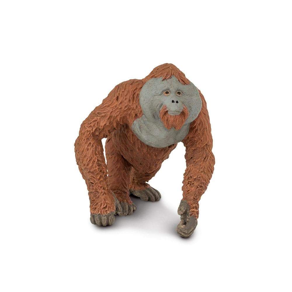 Orangutan - Safari Ltd® | Browse the SafariPedia